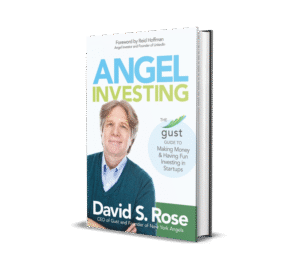 Angel Investing The Gust Guide to Making Money and Having Fun Investing in Startups PDFDrive